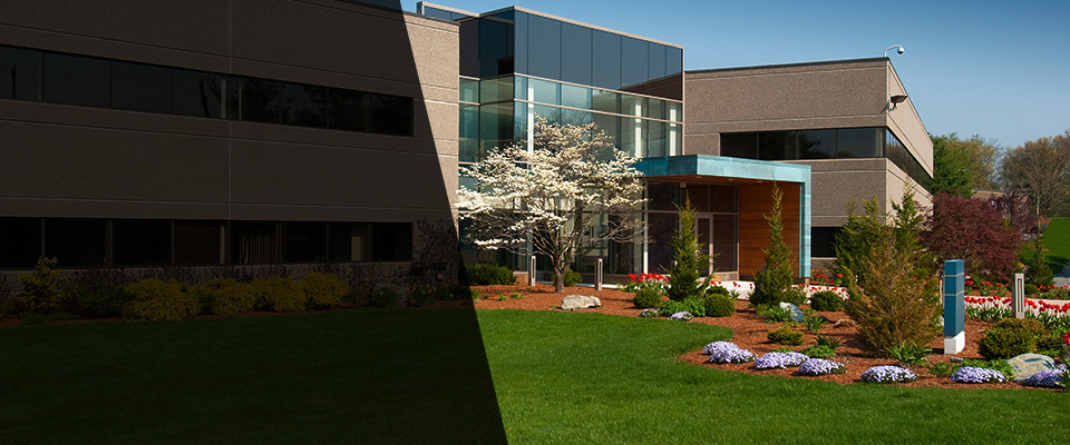 Glenolden Landscapers