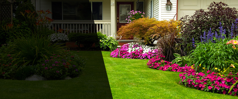 Glenolden Landscapers