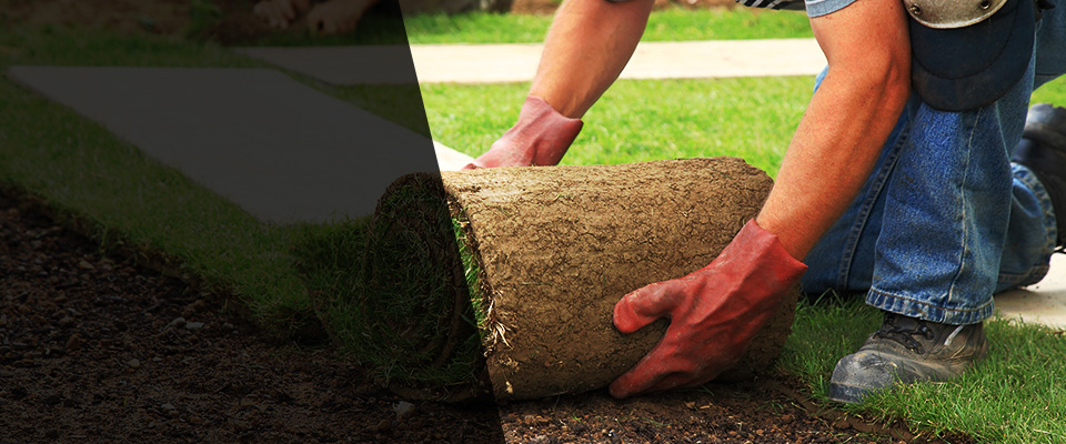 Glenolden Landscapers